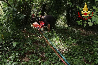 Cade in una scarpata per 30 metri, salvato dai Vigili del fuoco