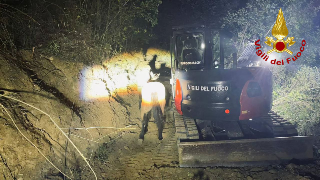 I vigili del fuoco salvano due cavalli caduti in un burrone